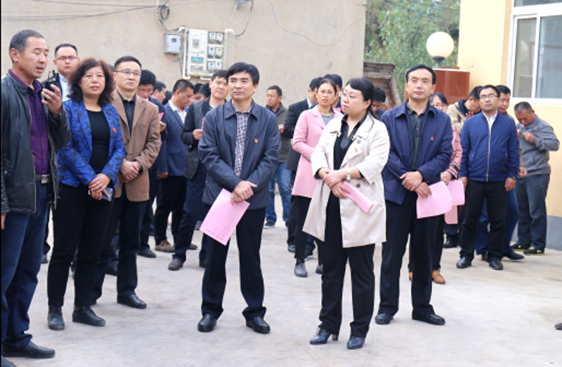到后杨河村实地参观.png